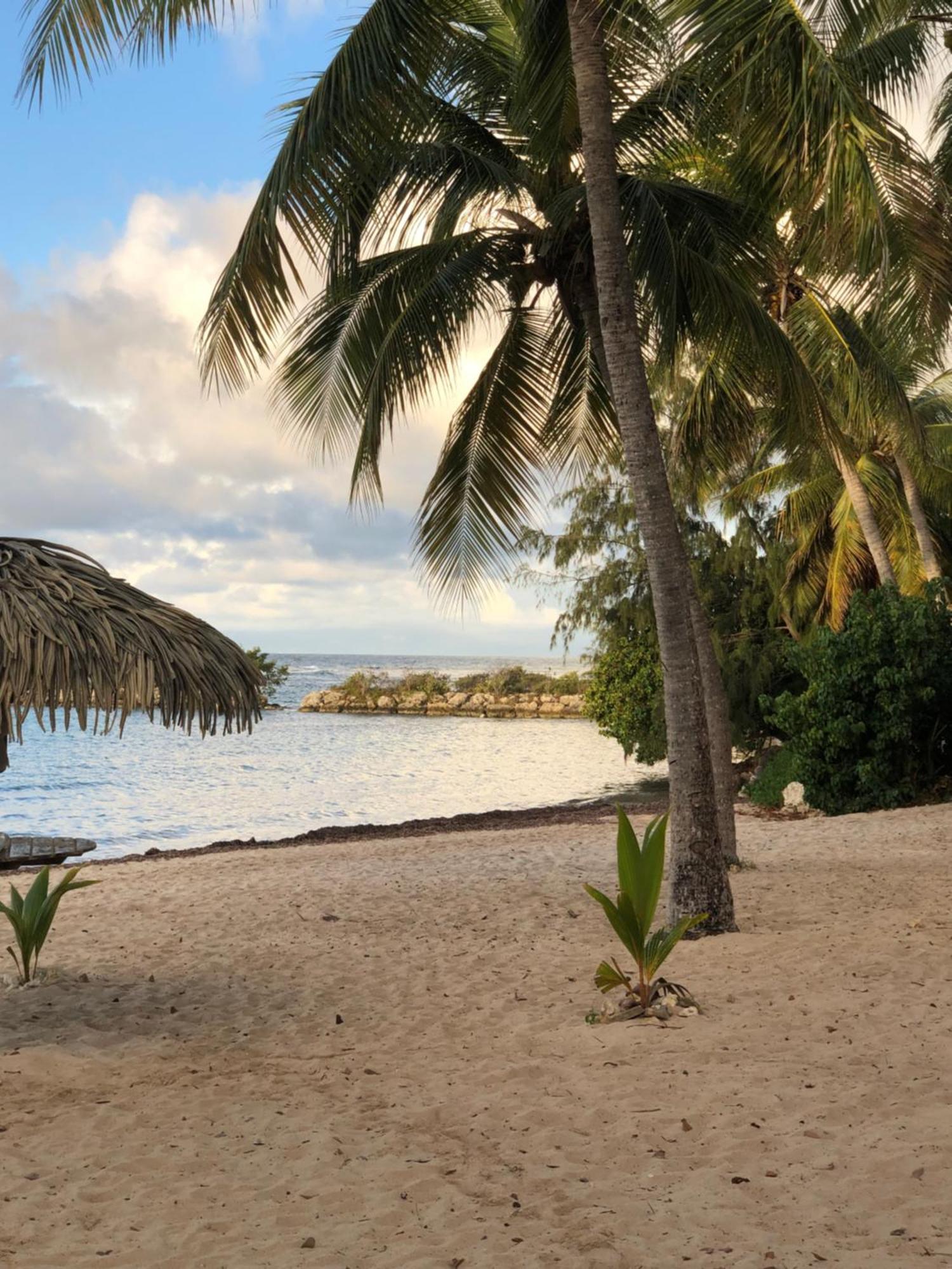 Studio Hibiscus Anse Des Rochers Saint Francois Exterior foto
